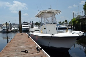 June 2014 Marina Photos